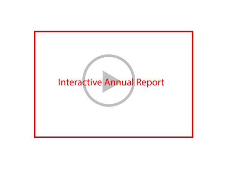 Interactive Annual Report